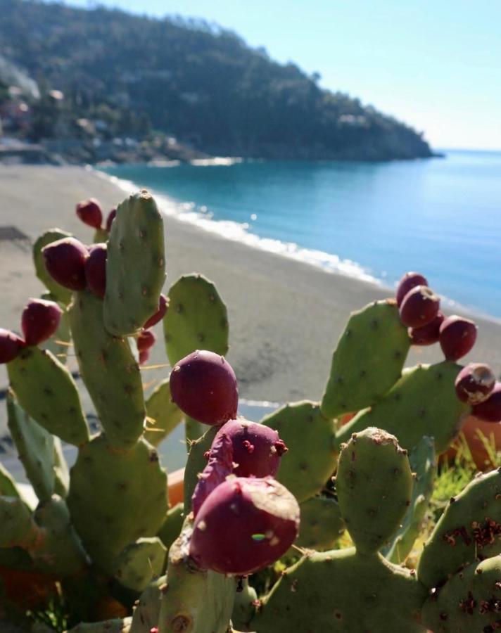 Il Nido Da Chiara Affittacamere La Spezia